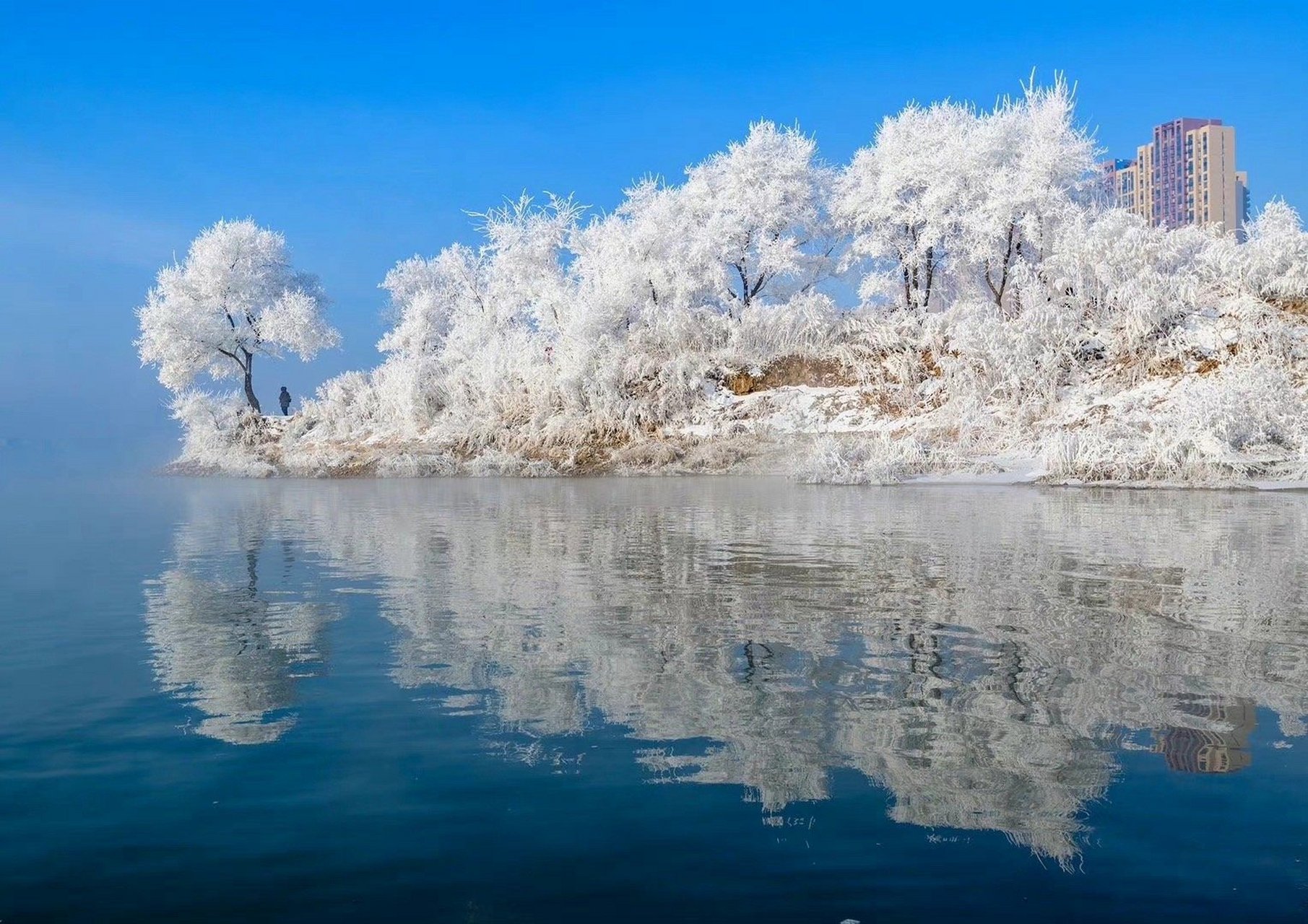 吉林发展的双刃剑效应探析与个人观点分享